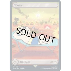 画像1: [EX+](FOIL)(0795)荒地/Wastes《英語》【SLD】
