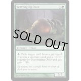 [EX+]漁る軟泥/Scavenging Ooze《英語》【Commander】