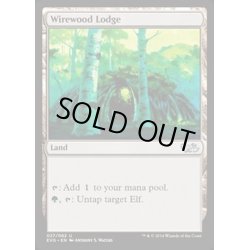 画像1: [HPLD]ワイアウッドの番小屋/Wirewood Lodge《英語》【Duel Decks: Anthology】