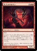 [EX+]災火のドラゴン/Balefire Dragon《日本語》【ISD】