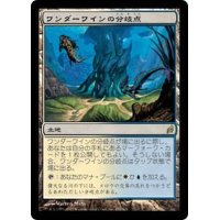[EX]ワンダーワインの分岐点/Wanderwine Hub《日本語》【LRW】