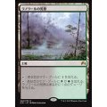 [EX+]ラノワールの荒原/Llanowar Wastes《日本語》【ORI】