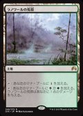 [EX+]ラノワールの荒原/Llanowar Wastes《日本語》【ORI】