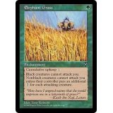 [EX+]エレファント・グラス/Elephant Grass《英語》【VIS】