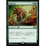 [EX+]滋養の群れ/Nourishing Shoal《日本語》【UMA】