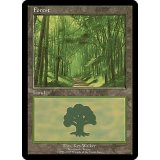 森/Forest《英語》【EURO2】