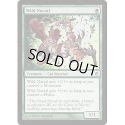 画像1: [EX+]野生のナカティル/Wild Nacatl《英語》【Duel Decks: Ajani vs. Nicol Bolas】