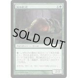 [EX+]漁る軟泥/Scavenging Ooze《日本語》【Commander】