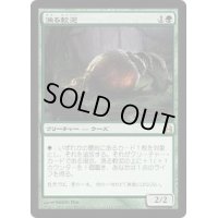 [EX+]漁る軟泥/Scavenging Ooze《日本語》【Commander】