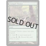 [EX+]平穏な茂み/Tranquil Thicket《英語》【Duel Decks: Elves vs. Goblins】