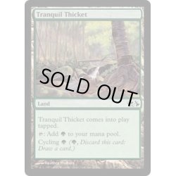 画像1: 平穏な茂み/Tranquil Thicket《英語》【Duel Decks: Elves vs. Goblins】