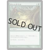 [EX+]新たな芽吹き/Regrowth《日本語》【Duel Decks: Heroes vs. Monsters】