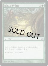 [EX+]新たな芽吹き/Regrowth《日本語》【Duel Decks: Heroes vs. Monsters】