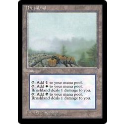 画像1: [PLD]低木林地/Brushland《英語》【ICE】