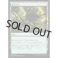 樹上の村/Treetop Village《日本語》【Duel Decks: Nissa vs. Ob Nixilis】