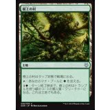 [EX+]樹上の村/Treetop Village《日本語》【Duel Decks: Nissa vs. Ob Nixilis】