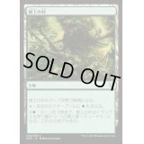 [EX+]樹上の村/Treetop Village《日本語》【Duel Decks: Nissa vs. Ob Nixilis】