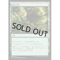 [EX+]樹上の村/Treetop Village《日本語》【Duel Decks: Nissa vs. Ob Nixilis】