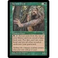 [HPLD]隠遁ドルイド/Hermit Druid《日本語》【STH】