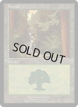 [POOR]森/Forest《英語》【EURO1】