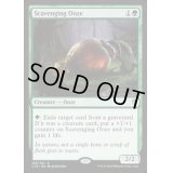 漁る軟泥/Scavenging Ooze《英語》【Commander 2016】