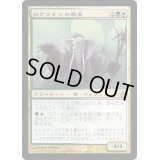 [EX+]ロクソドンの教主/Loxodon Hierarch《日本語》【RAV】
