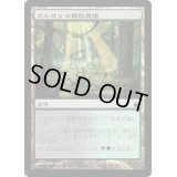 ゴルガリの腐敗農場/Golgari Rot Farm《日本語》【RAV】