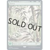 (FOIL)(1403)森/Forest《英語》【SLD】
