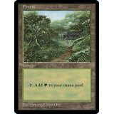 [PLD]森/Forest《英語》【APAC3】