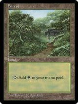 [PLD]森/Forest《英語》【APAC3】