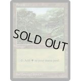森/Forest《英語》【APAC3】