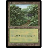 [PLD]森/Forest《英語》【APAC3】