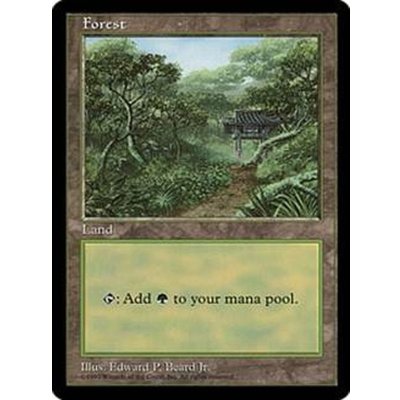 [EX+]森/Forest《英語》【APAC3】