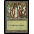 [HPLD]森/Forest《英語》【APAC2】