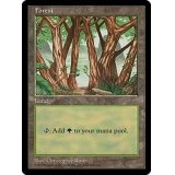 [EX+]森/Forest《英語》【APAC2】