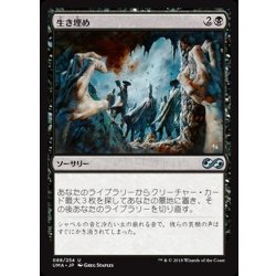 画像1: 生き埋め/Buried Alive《日本語》【UMA】