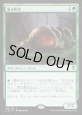 漁る軟泥/Scavenging Ooze《日本語》【Commander 2016】