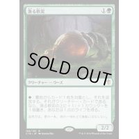漁る軟泥/Scavenging Ooze《日本語》【Commander 2016】