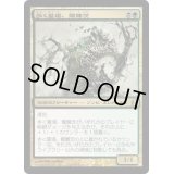 [EX+]歩く墓場、髑髏茨/Skullbriar, the Walking Grave《日本語》【Commander】