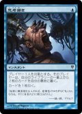 [EX+]思考掃き/Thought Scour《日本語》【Duel Decks: Jace vs. Vraska】