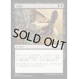 [EX+]小悪疫/Smallpox《日本語》【Duel Decks: Nissa vs. Ob Nixilis】