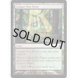 [EX+]ゴルガリの腐敗農場/Golgari Rot Farm《英語》【RAV】