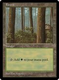 [PLD]森/Forest《英語》【APAC1】