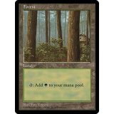 [EX]森/Forest《英語》【APAC1】