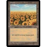 [PLD]平地/Plains《英語》【APAC1】