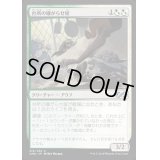 [EX+]台所の嫌がらせ屋/Kitchen Finks《日本語》【UMA】