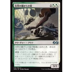 画像1: 台所の嫌がらせ屋/Kitchen Finks《日本語》【UMA】