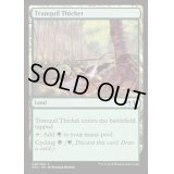 [EX+]平穏な茂み/Tranquil Thicket《英語》【Duel Decks: Anthology】