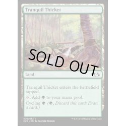 画像1: [EX+]平穏な茂み/Tranquil Thicket《英語》【Duel Decks: Anthology】