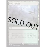 [EX+]ラノワールの荒原/Llanowar Wastes《日本語》【M15】